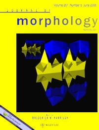 Journal of Morphology cover