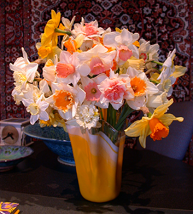 daffs951.jpg - 268009 Bytes