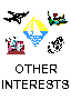 Other Interests