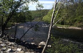 A river in the Catskill Mountains