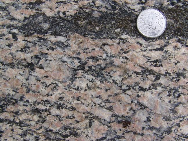 S-C fabric in granite shear zone