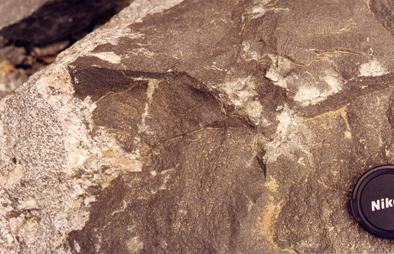 Granite-diorite irregular contact