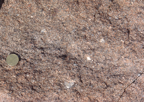 heterogeneous granites with retrogressed garnet