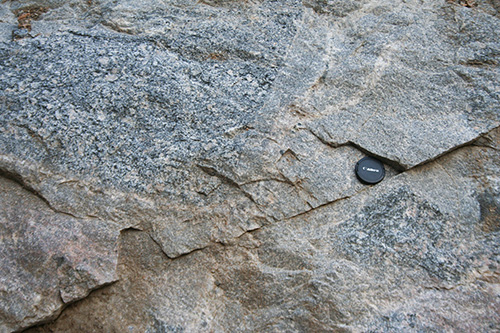 porphyritic granite xenolith