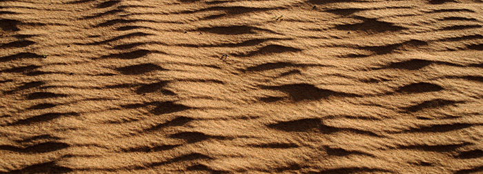 sand fibres