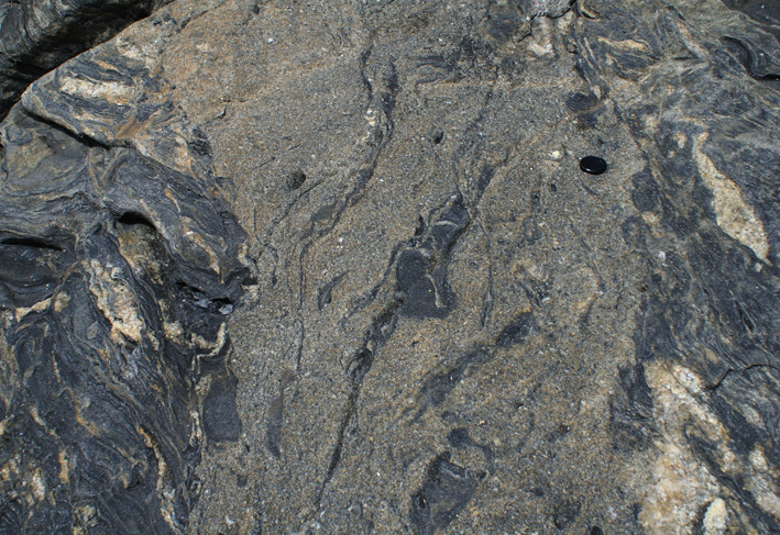 magma extraction features in migmatite