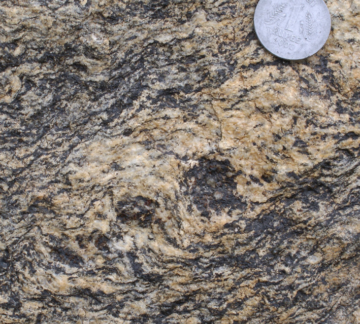 Folding and transposition, migmatite