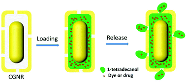 caged nanorods for drug delivery