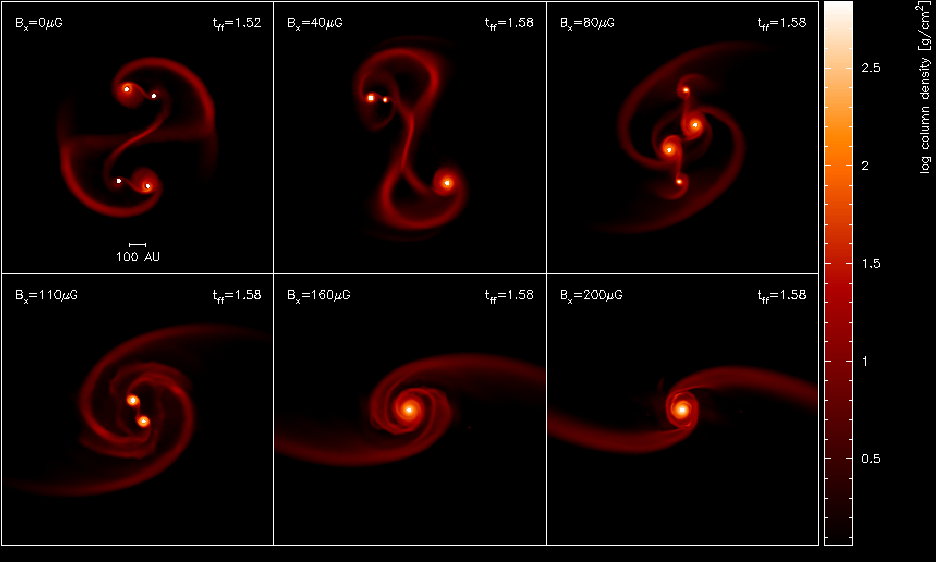 magfields_binaryformation
