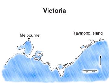 Raymond Island location