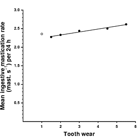 Association between the chew rate and tooth wear