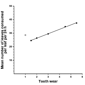 Association between number of chews per bite and tooth wear