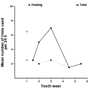 Association between tree usage and tooth wear