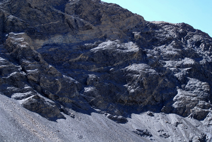 gabbro contact