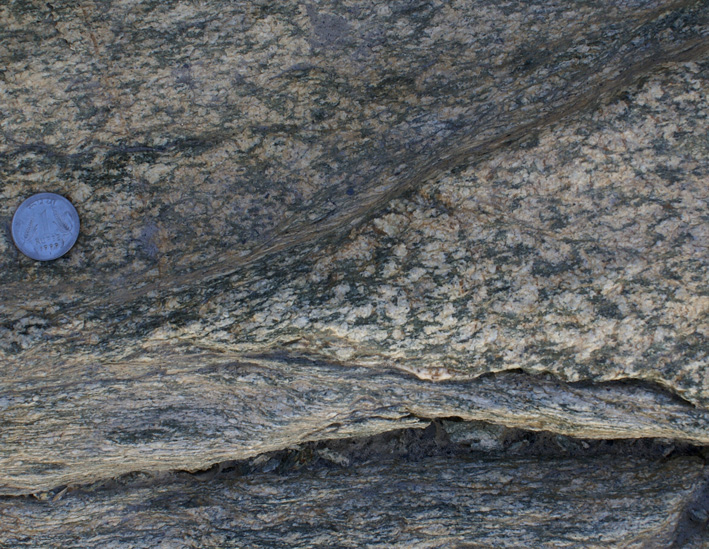 sheared gabbro