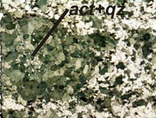 Orbicular diorite