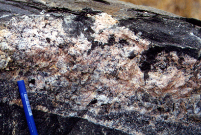 syn-magmatic pegmatite-diorite contact