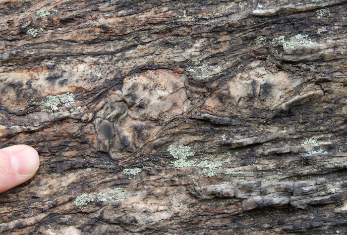 sheared porphyritic granite