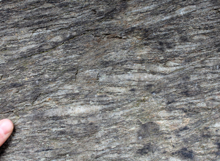 sheared porphyritic granite