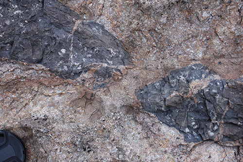 Tips of basalt dyk