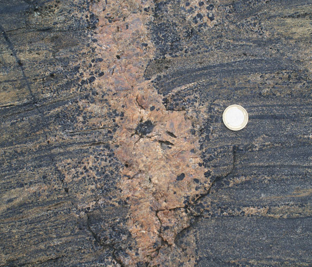 calc-silicate blocks in mingled magmas
