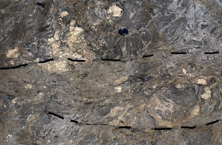 schollen in granite, with mafic seams