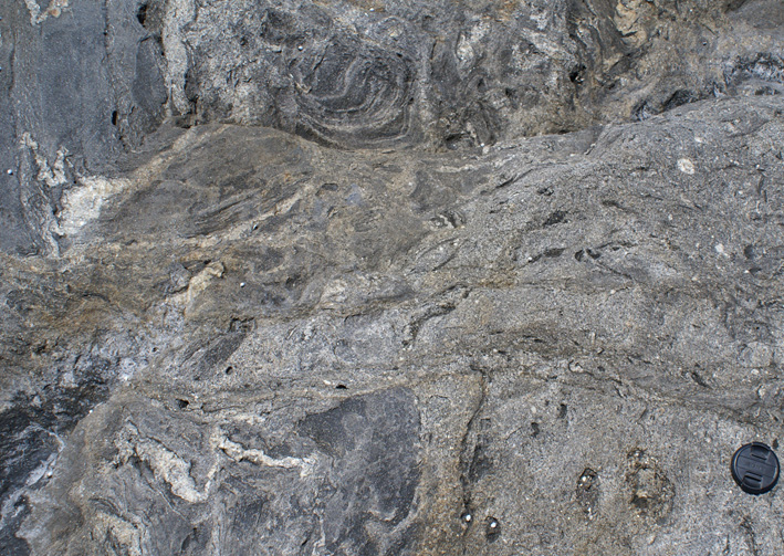 magma channel in migmatite