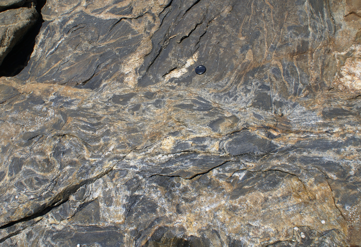 Geology of Migmatites in Kangaroo Island: Flow, Transposition, Breakup