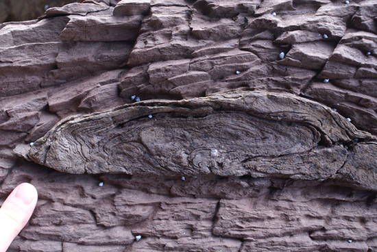 complex folds due to slump in sediments