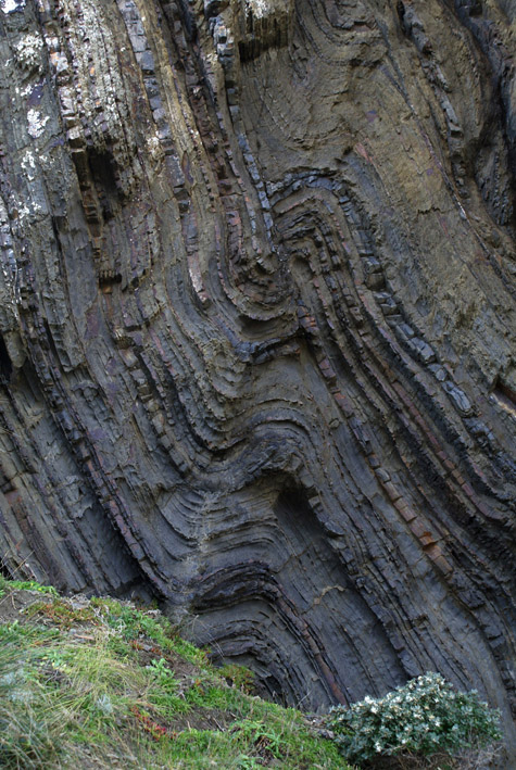 Folding and reverse faulting