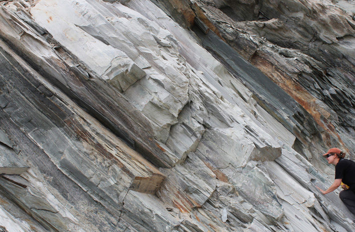 Mylonitic quartzite