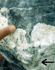 leucogranite and porphyroblast