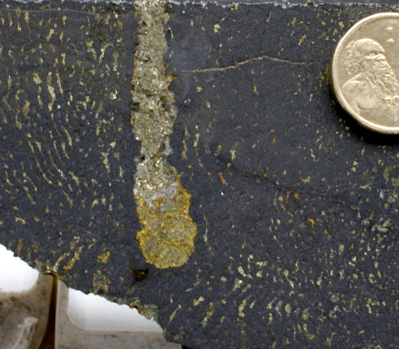 Layer parallel Pyrite dissemination in magnetite, skarn