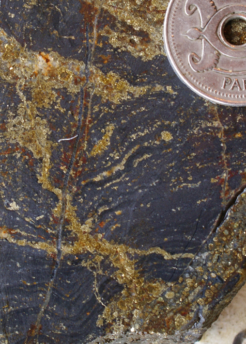 Sulfide-filled fracture cross-cutting preserved original
mudstone bedding in magnetite skarn