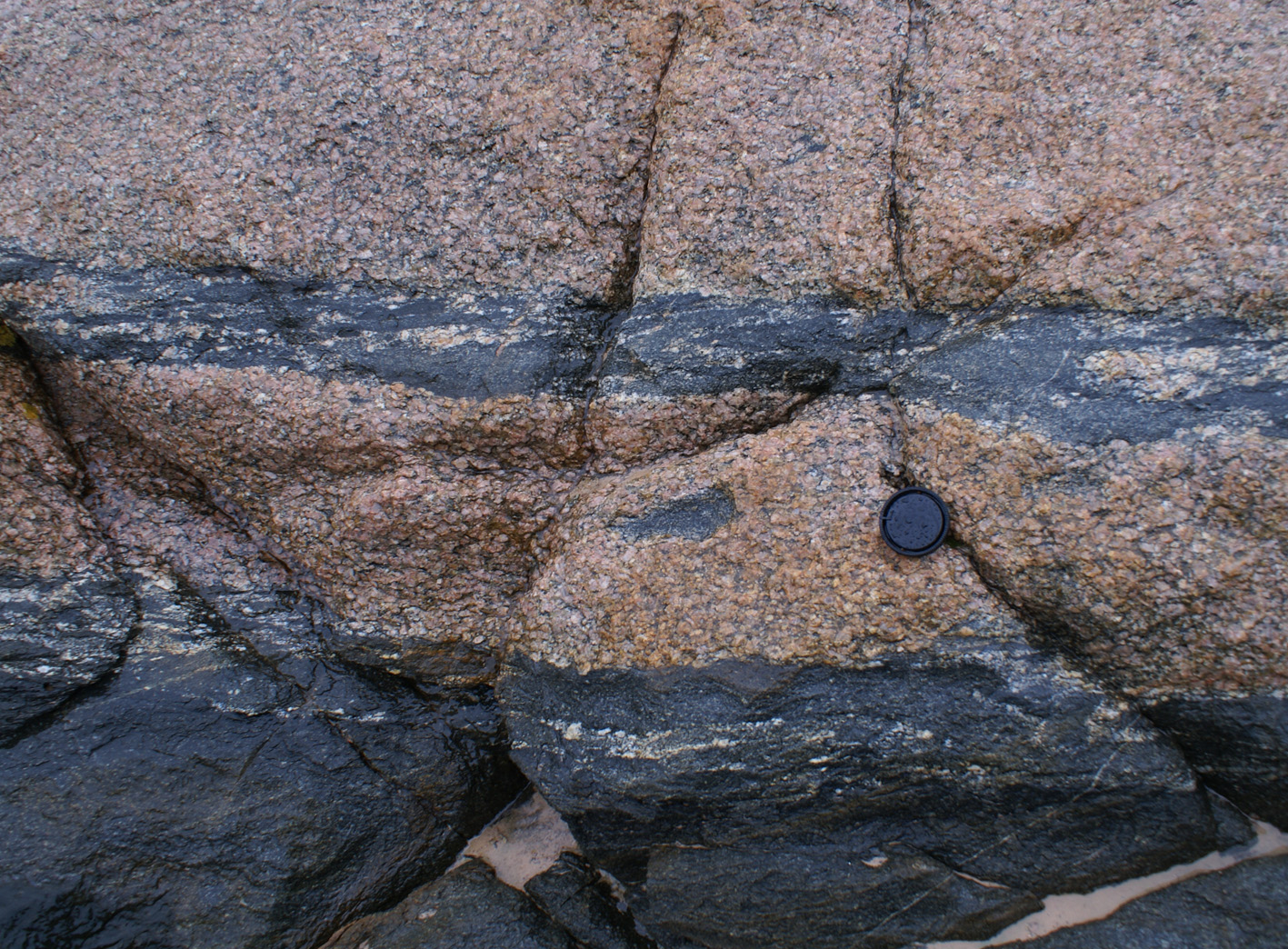 Granite Xenolith Disaggregation, Saint Peter Suite, South Australia