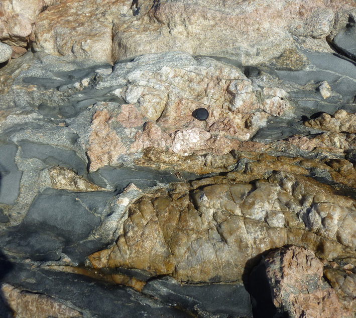 Pegmatite in mingled magma