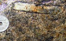 sillimanite rimmed by biotite in tonalite