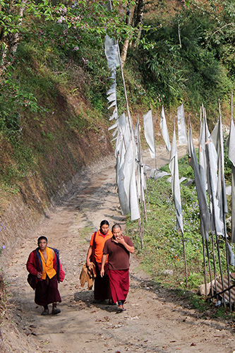 budhist monks
