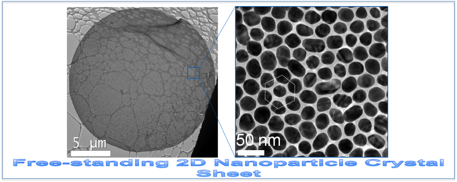 polymer-nanoparticle superlattice sheet