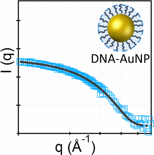 netron-scattering of DNA nanoparticle